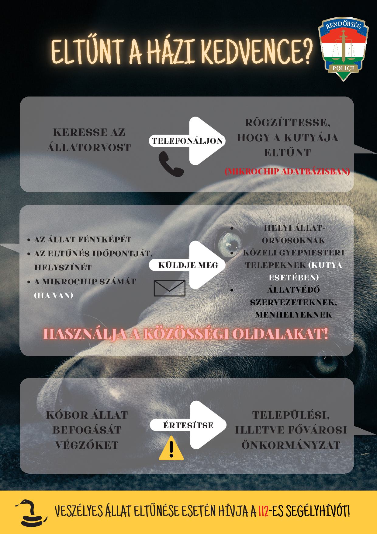 Eltűnt a házi kedvence?